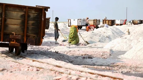 Salt mining on lake in Sambhar Stock Footage 104885282