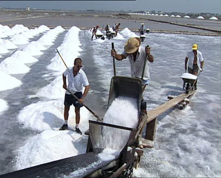 SALT PAN men working and machinery AUDIO Video stock 22633339