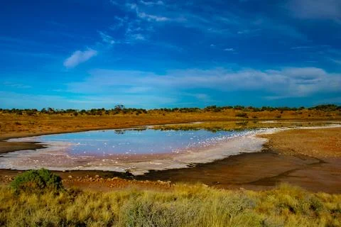 Salt Pan Reflection – Arid Basin South of Pimba, South Australia Stock Photos