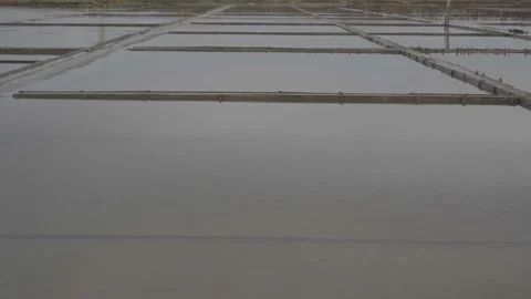 Salt Pans in Aveiro Video stock 237877307