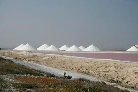 Salt pans Stock Photos