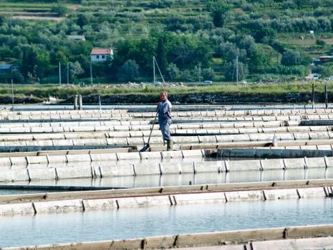 Salt pans Stock Photos
