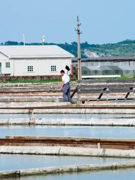 Salt pans Stock Photos