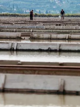 Salt pans Foto stock