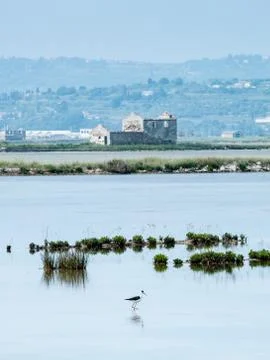 Salt pans Stock Photos