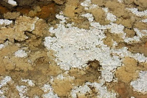 Salt Stock Photos