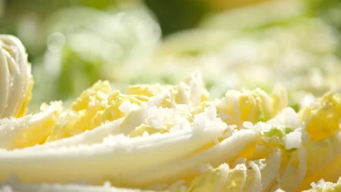 Salt pickled cabbage with droping salt Stock Footage 162624162