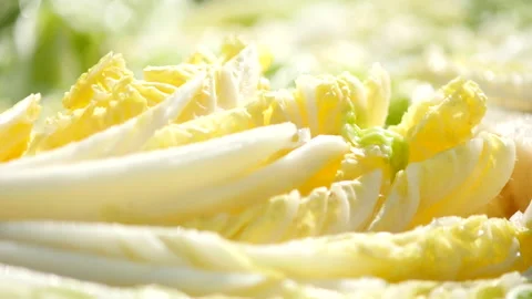 Salt pickled cabbage Stockbeeldmateriaal 162624087