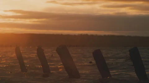 Salt pillars in the lake at sunset Stock Footage 243847953