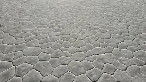 Salt Polygon Texture at Salinas Grandes Salt Flat in Jujuy Argentina 動画素材 345741488