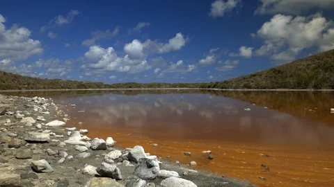 Salt pond, st. John, virgin islands Stock Footage 108281060