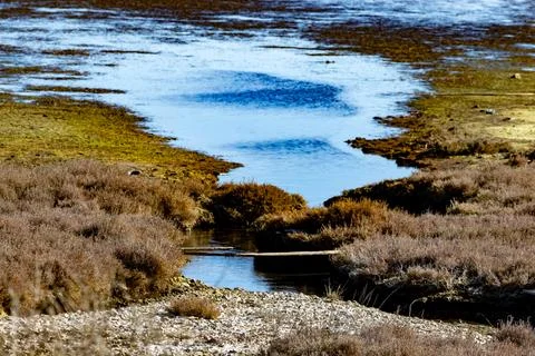 Salt pools Stock Photos