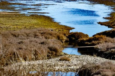 Salt pools Stock Photos