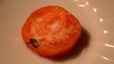Salt is poured onto a tomato Stock Footage 259104622