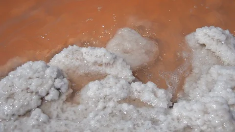 Salt Rock On The Shore Stock Footage 88650183