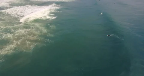 Salt Rock Surfer 動画素材 107419891