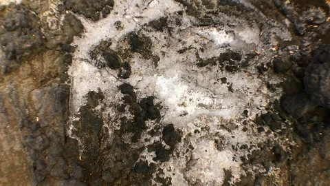 SALT ON THE ROCKS Stock Footage 101790376