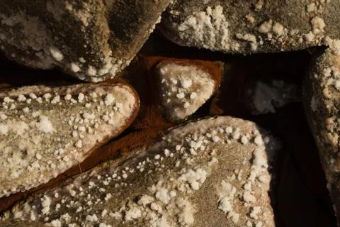 Salt on rocks Foto stock