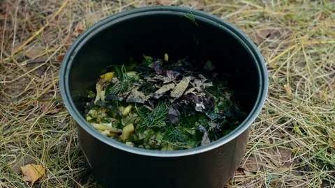 Salt on salad, picnic Stock Footage 79038253