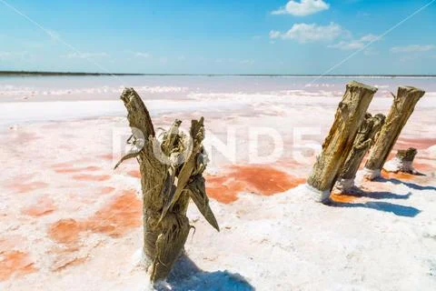 Salt sea water evaporation ponds with pink plankton colour Stock Photos