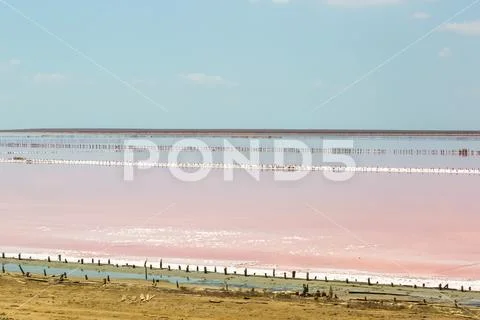 Salt sea water evaporation ponds with pink plankton colour Stock Photos