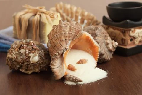 Salt in the seashell bath accessories background Stock Photos