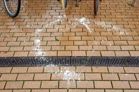 Salt on sidewalk Stock Photos