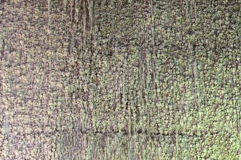 Salt Wall Texture Stock Photos