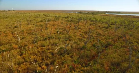 Salt water intrusion Louisiana coastal erosion marsh aerial drone Stock Footage