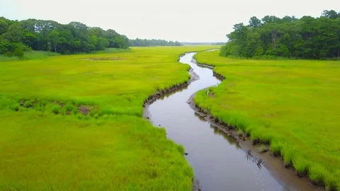 Salt Water Marsh Stock Footage 77704048