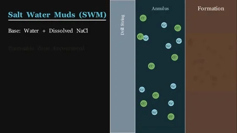 Salt Water Muds Animation Видео 340301603