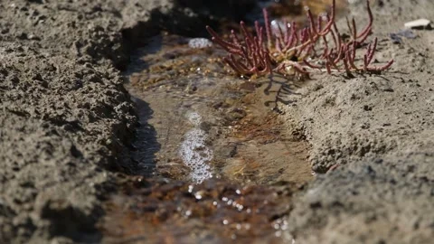 Salt water source 2 Stock Footage 294087141