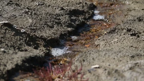 Salt water source 3 Stock Footage 294087207