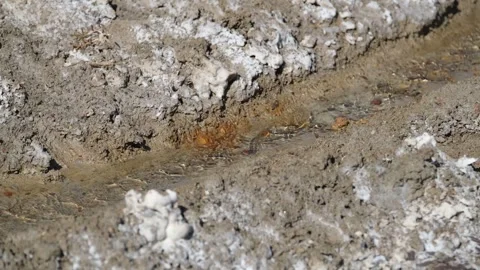 Salt water source 4 Stock Footage 294087209