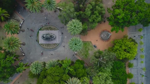 Salta plaza Video stock 245479931