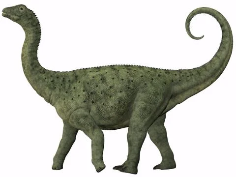 Saltasaurus juvenile Stock Illustration