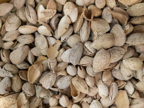 Salted almonds in shell. Stock Photos