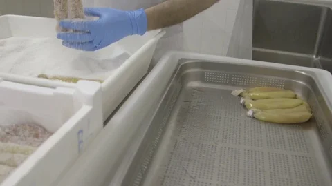 Salted bottarga Stock Footage 71175076