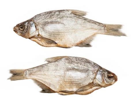 Salted bream on a white background Stock Photos