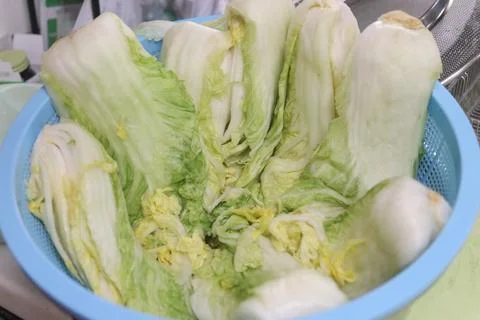 Salted Chinese cabbage Stock Photos