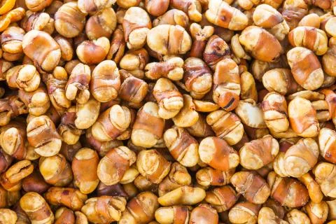 Salted crispy broad bean Stock Photos