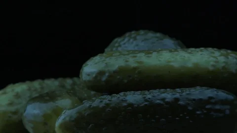 Salted crispy cucumbers 動画素材 84481252