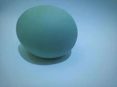 Salted Egg Stock Photos