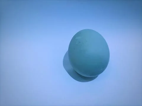 Salted Egg Foto stock