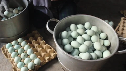 Salted eggs Stock Footage 280343372