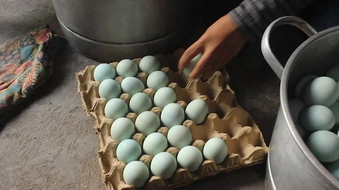 Salted eggs Stock Footage 280343578