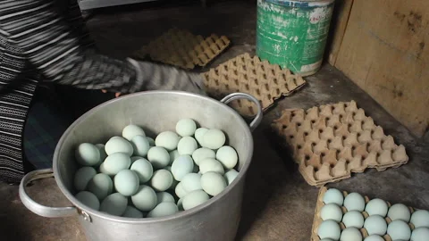 Salted eggs Stock Footage 280346263