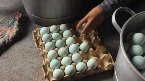 Salted eggs Stock Footage 280383947