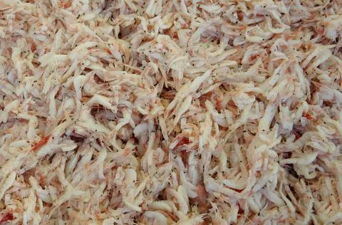 Salted fermented shrimps Stock Photos