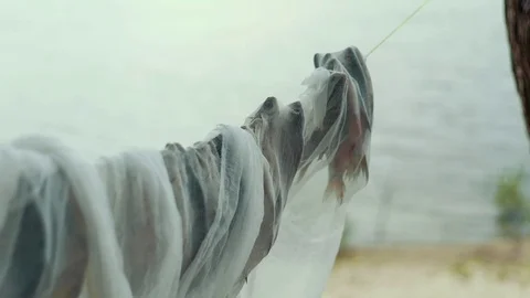 Salted fish dried under cheesecloth in outdoors in fishing village Stock Footage 82010103